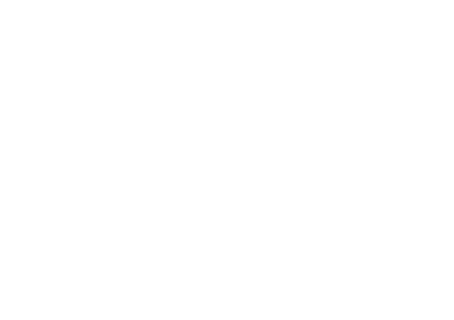 DJ Micole
